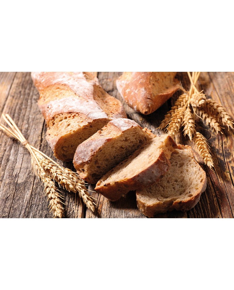 Illustrato Pane 2026