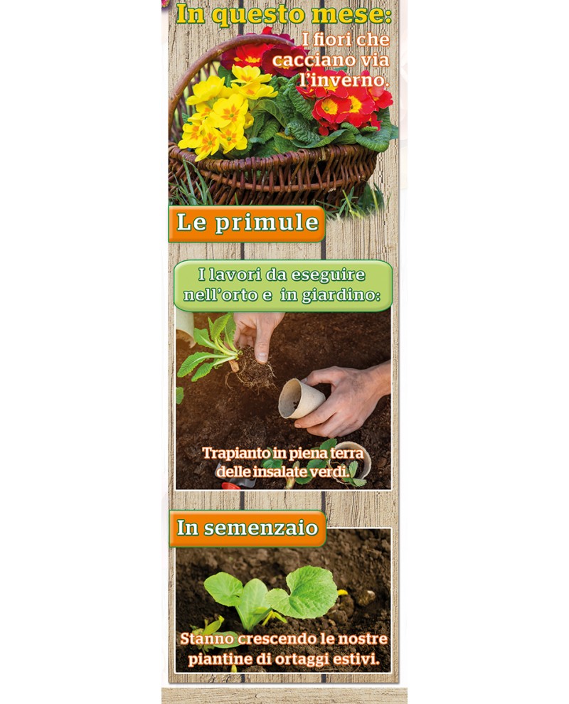 Illustrato Orto e Giardino 2026