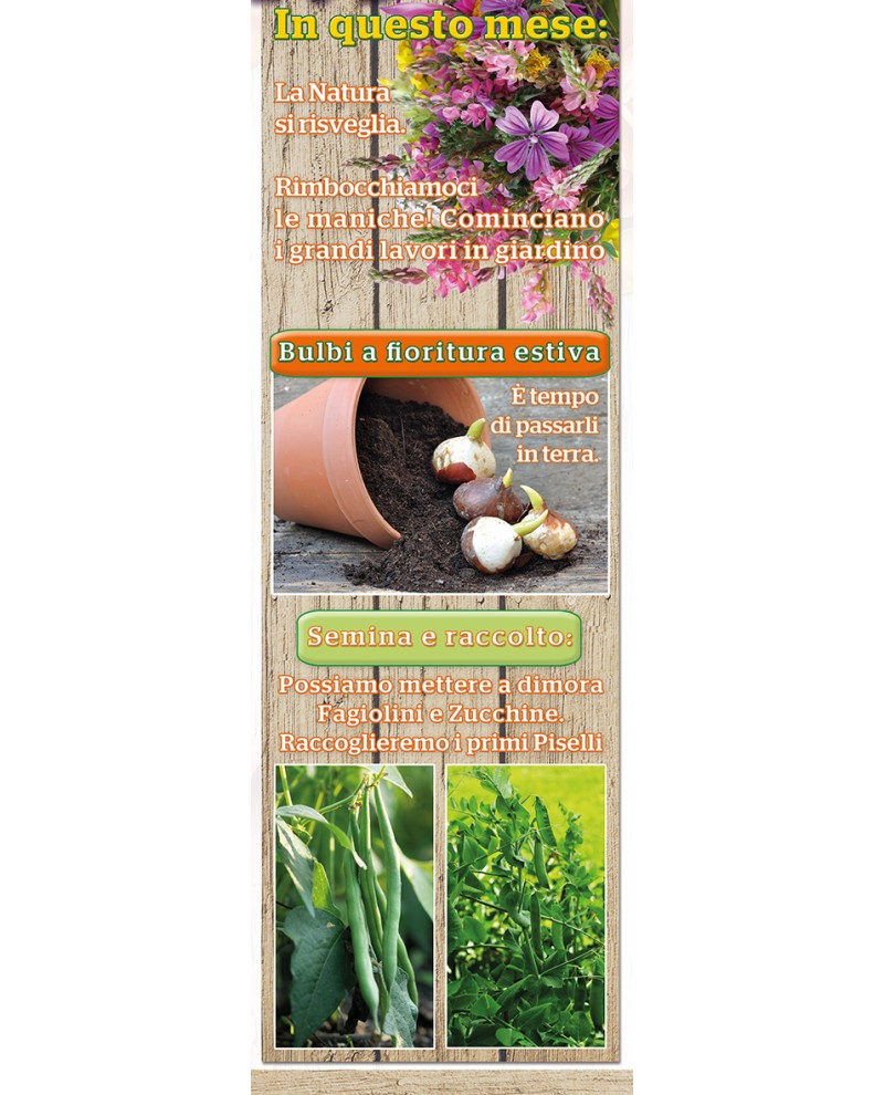 Illustrato Orto e Giardino 2026