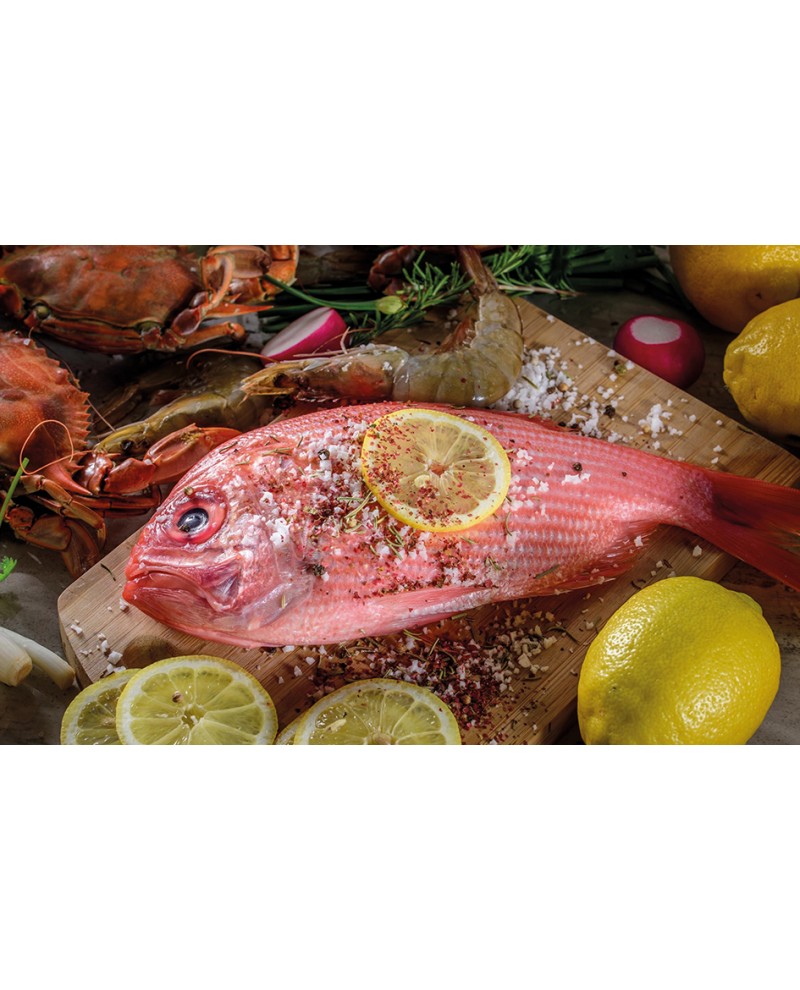 Illustrato Pesce 2026